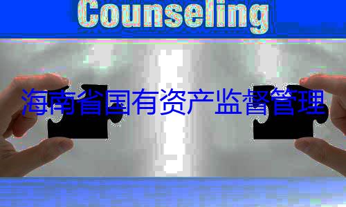 海南省国有有福接受审资产监督管委副书记王查调查理委员会党